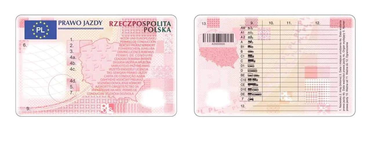 Prawo jazdy: adres zamieszkania czy zameldowania? Oto prawda, którą musisz znać Prawo jazdy: adres zamieszkania czy zameldowania? Oto prawda, którą musisz znać