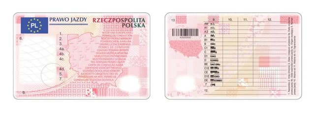 Prawo jazdy: adres zamieszkania czy zameldowania? Oto prawda, którą musisz znać Prawo jazdy: adres zamieszkania czy zameldowania? Oto prawda, którą musisz znać