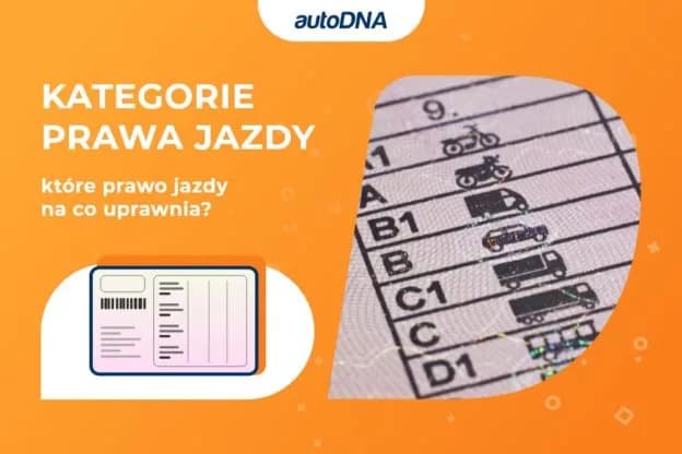 Ile naprawdę kosztuje prawo jazdy kategorii D? Sprawdź pełne koszty i oszczędności Ile naprawdę kosztuje prawo jazdy kategorii D? Sprawdź pełne koszty i oszczędności